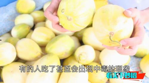 捏捏的吃瓜,揭秘娱乐圈幕后真相