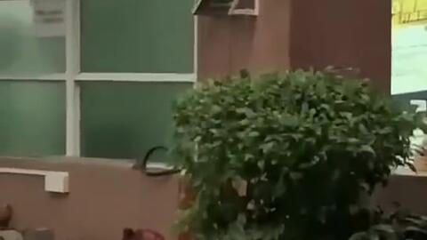 商城最新吃瓜新闻,商城风云再起，揭秘幕后真相