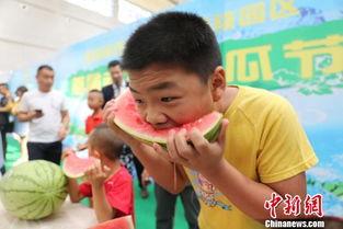 吃瓜现场免费,免费体验，畅享夏日狂欢