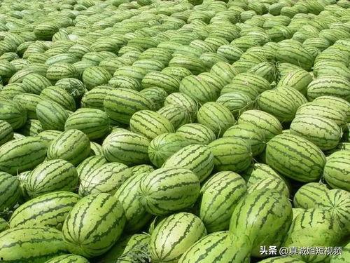 吃瓜大美,揭秘娱乐圈幕后故事