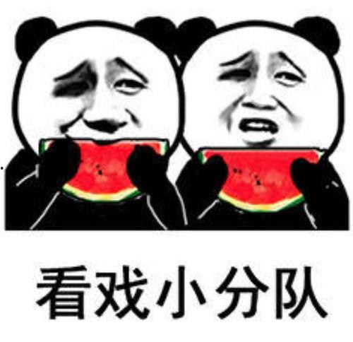 大的吃瓜表情包,揭秘网络社交新潮流