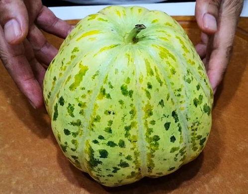 怎么打出吃瓜,轻松掌握娱乐热点